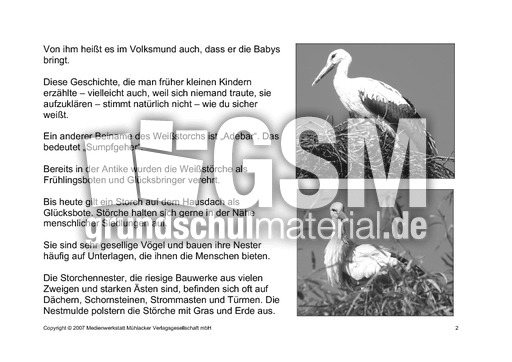 Fehlerlesen-Weißstorch-Lesetext-Sw-2.pdf